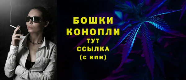 амф Елизово