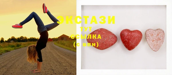 мет Ельня