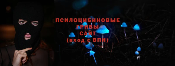 мет Ельня