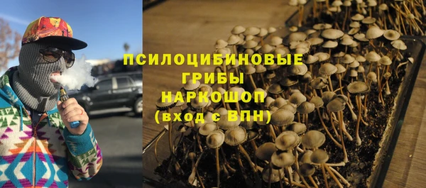 мет Ельня