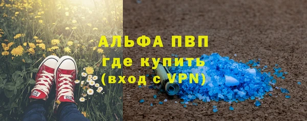 мет Ельня