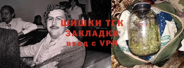 мет Ельня