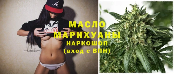 мет Ельня
