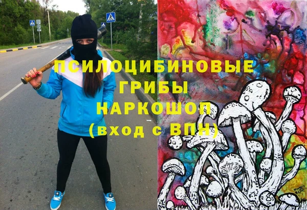 мет Ельня