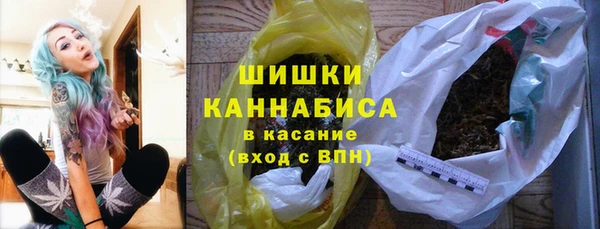 амф Елизово