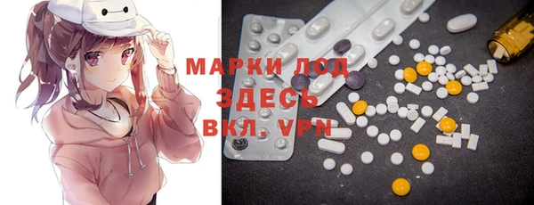 мет Ельня